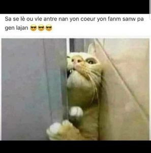 Meet your Posher, Martinez